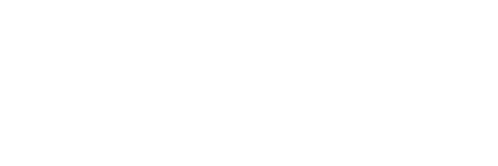 suLOGOIPSUM-9